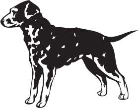 Curly Coated Retriever Dog Sticker