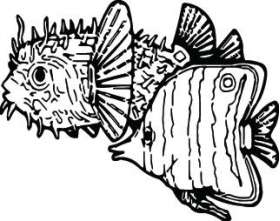 Fish Sticker 563