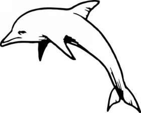 Dolphin Sticker 272