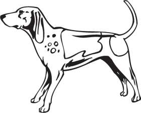 English Coonhound Dog Sticker