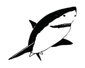 Shark Sticker 273