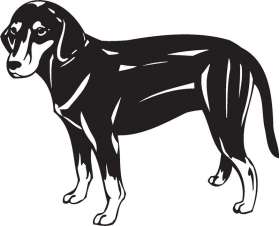 Montenegrin Mountain Hound Dog Sticker