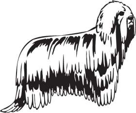 Komondor Dog Sticker