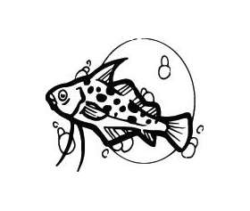 Fish Sticker 478