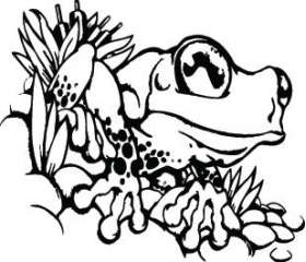 Frog Sticker 28