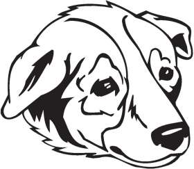 Welsh SheepDog Sticker