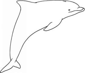 Dolphin Sticker 250