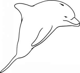 Dolphin Sticker 255