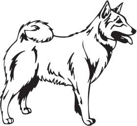 Norwegian Buhund Dog Sticker