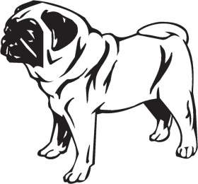 Pug Dog Sticker