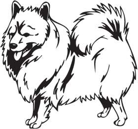 German Spitz Dog Sticker