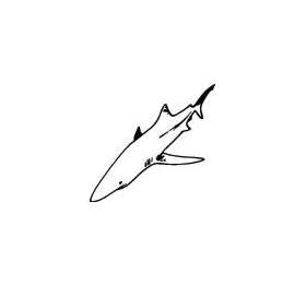 Shark Sticker 259