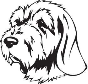 Spinone Italinao Dog Sticker