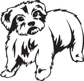 Maltese Dog Sticker