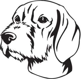 Wirehared Vizsla Dog Sticker