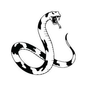 Snake Sticker 243