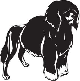 Portuguese Water Dog Sticker