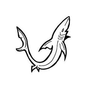 Shark Sticker 238