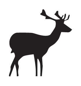 Buck Sticker 40