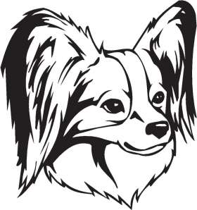 Papillon Dog Sticker