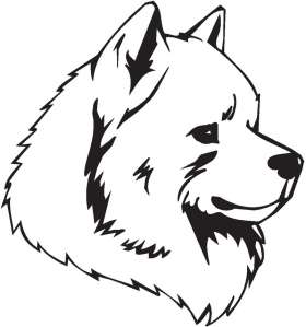 Samoyed Dog Sticker