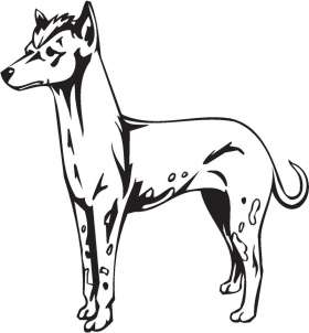 Peruvian Hairless Dog Sticker