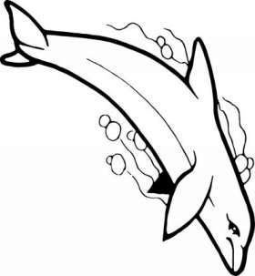 Dolphin Sticker 407