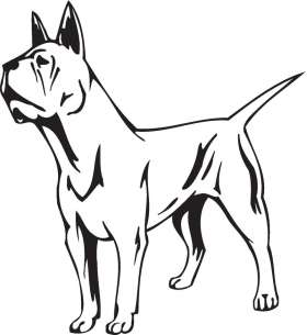 Chinese Chongping Dog Sticker