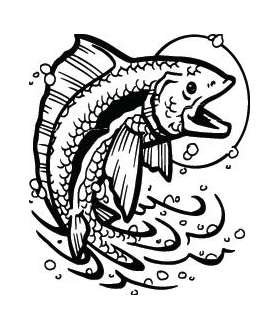 Fish Sticker 616