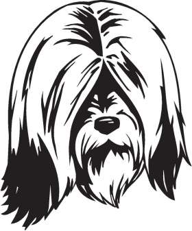 Tibetan Terrier Dog Sticker