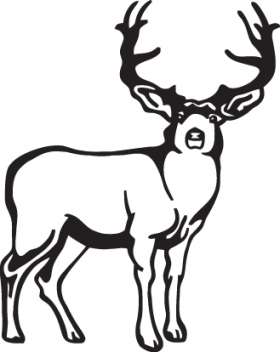 Buck Sticker 58