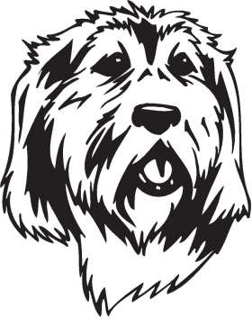 Griffon Nivernais Dog Sticker