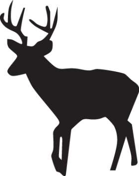 Buck Sticker 45