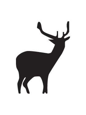 Buck Sticker 44