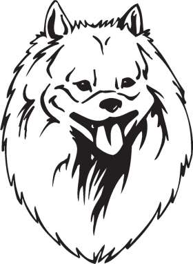 Japanese Spitz Dog Sticker