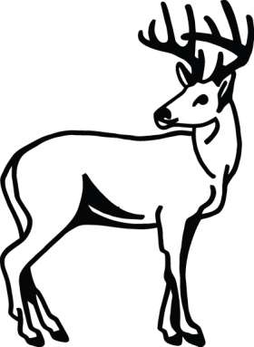 Buck Sticker 57