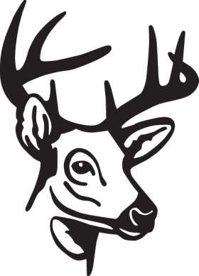 Buck Sticker 4