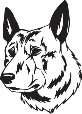 Dutch Shepherd Dog Sticker