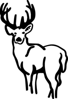 Buck Sticker 113