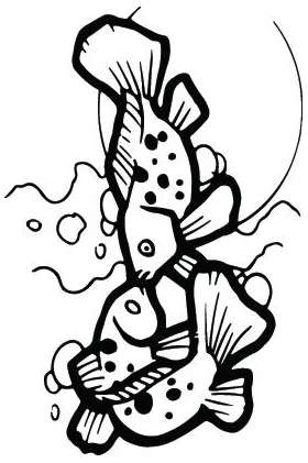 Fish Sticker 548