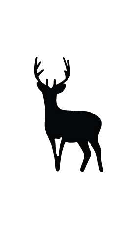 Buck Sticker 54