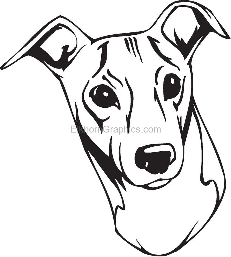 Greyhound Car Decal Car Sticker Italian Greyhound Stickers Dogs Sticker Auto  Stickers Greyhound Sticker Greyhound Decals Greyhound Car 283 