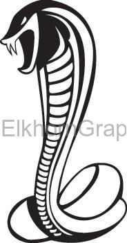 Snake Sticker 350 - Snake Stickers | Elkhorn Graphics LLC